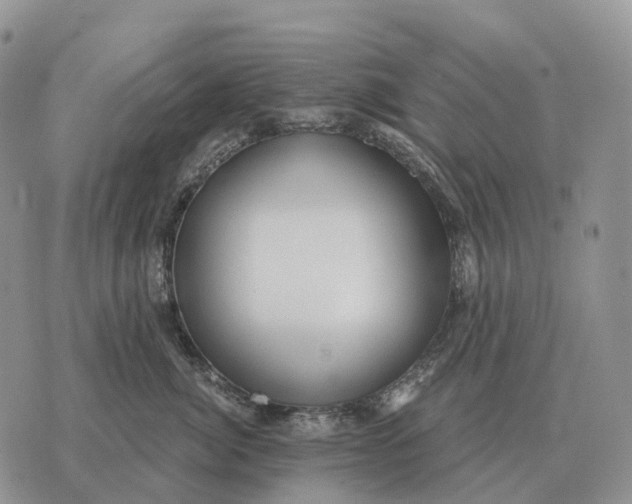 X0000072980764200608111741