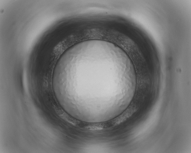 X0000072980765200608111741