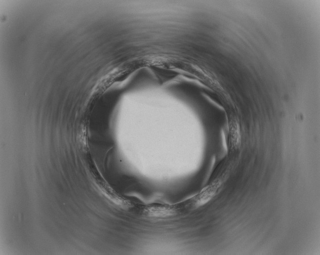 X0000072980766200608111741