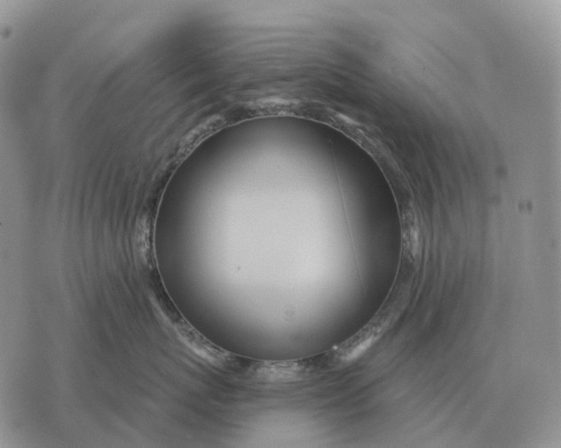 X0000072980767200608111741