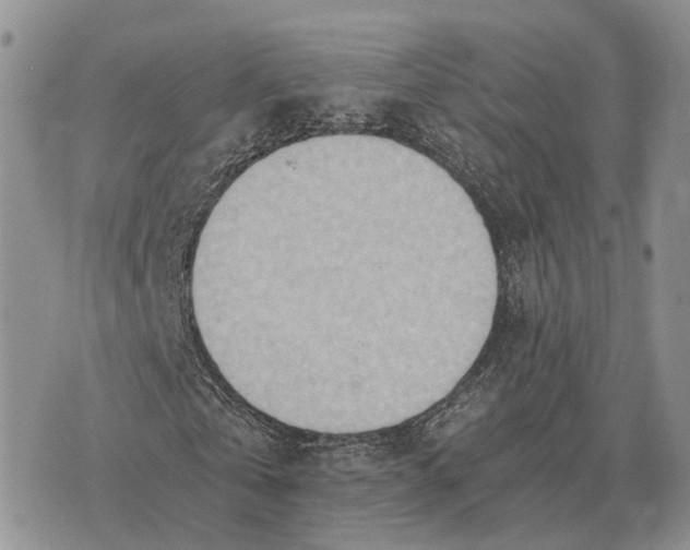 X0000072980769200608111740