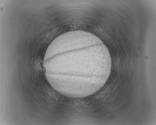 X0000072980770200608111740