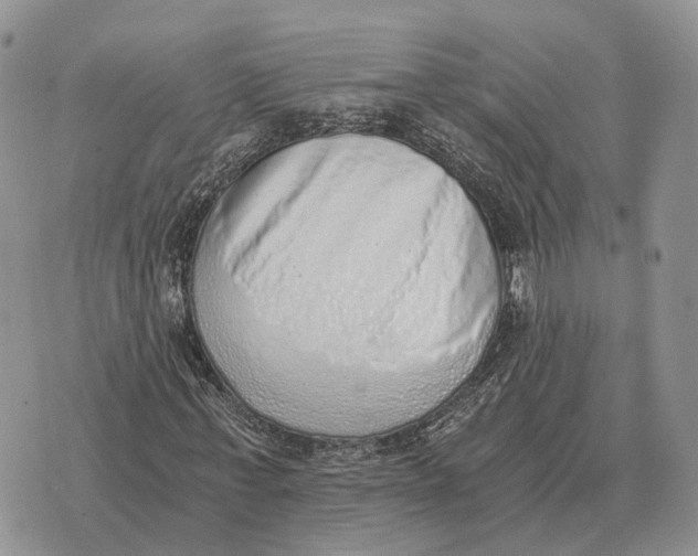 X0000072980771200608111740