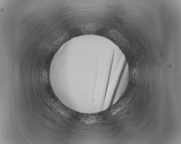 X0000072980772200608111740