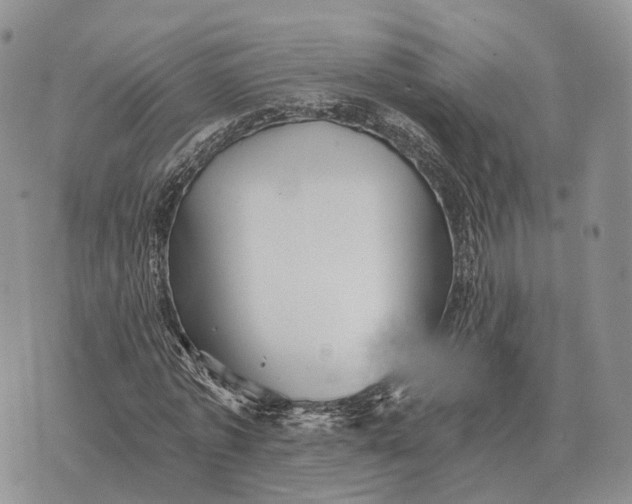 X0000072980773200608111740