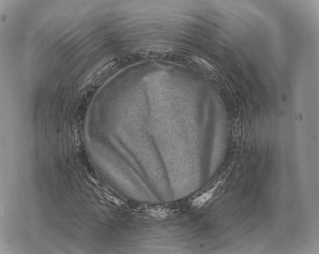 X0000072980774200608111740