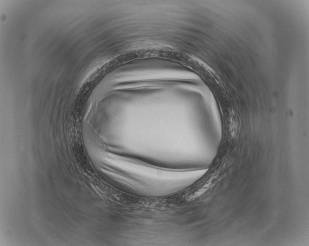 X0000072980775200608111740