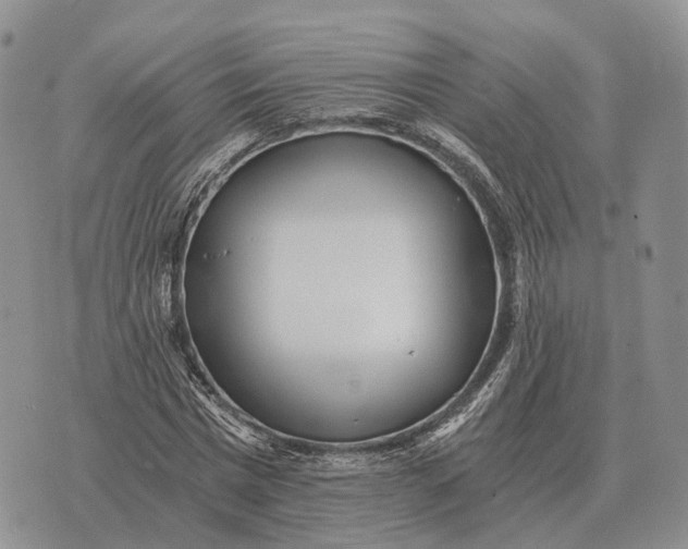 X0000072980777200608111740