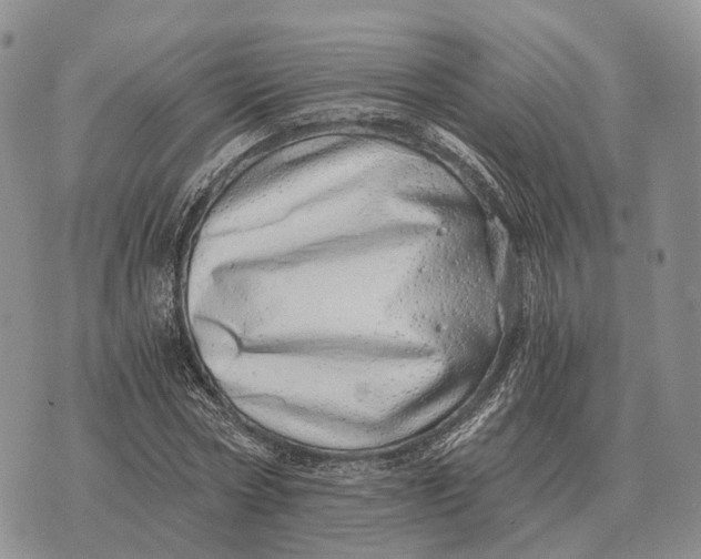 X0000072980778200608111740