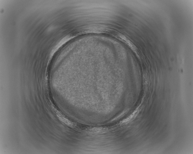 X0000072980779200608111740