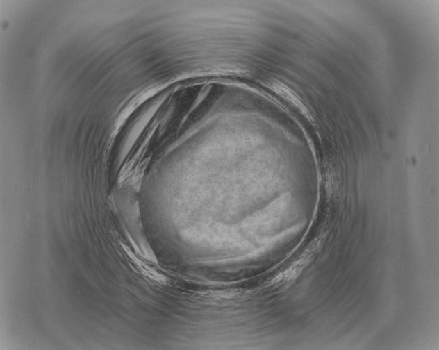 X0000072980781200608111740