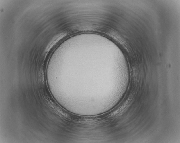 X0000072980782200608111740