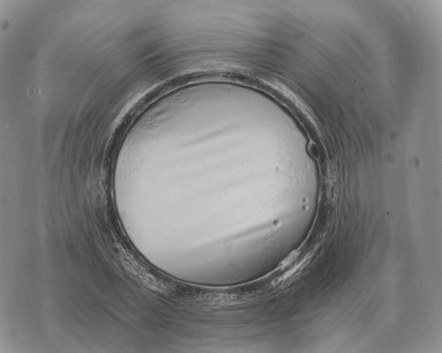 X0000072980783200608111740