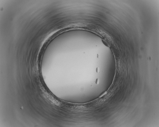 X0000072980784200608111740