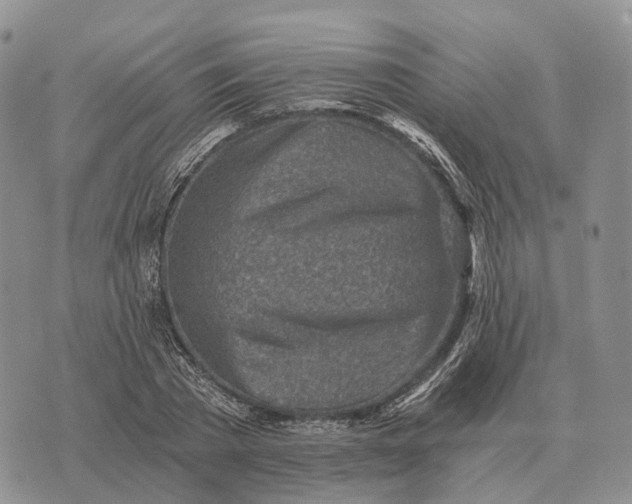 X0000072980785200608111740