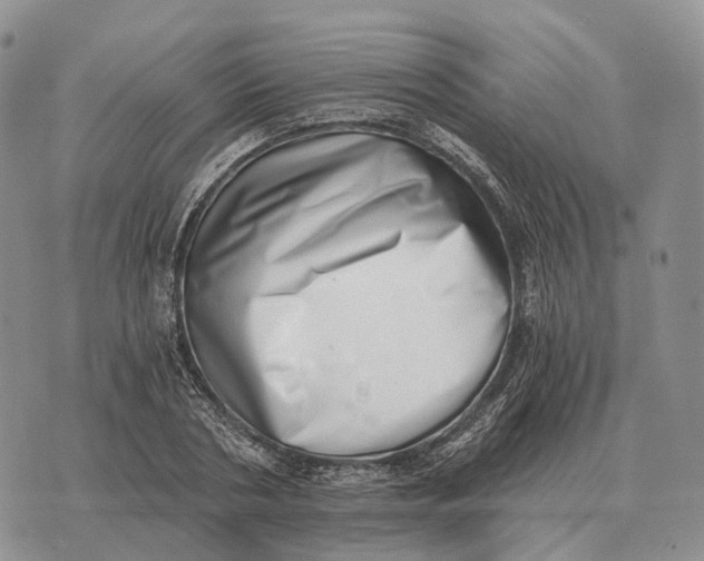 X0000072980786200608111740