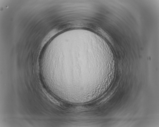 X0000072980787200608111740