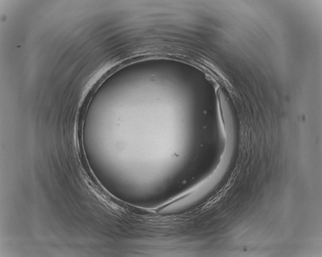 X0000072980788200608111740