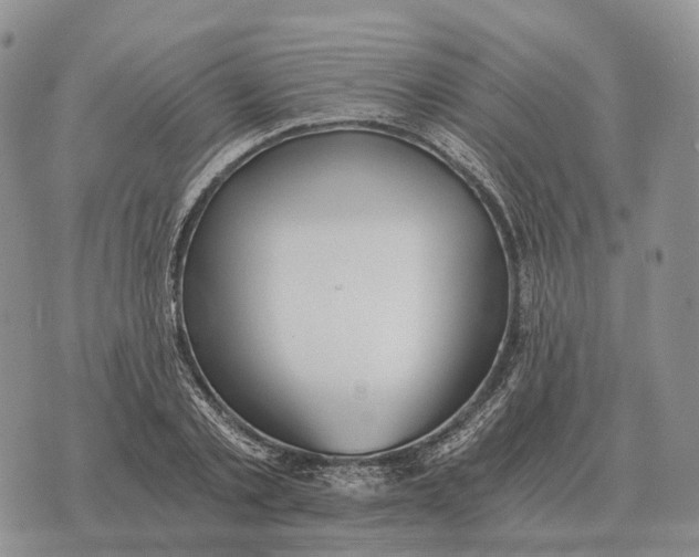 X0000072980789200608111740