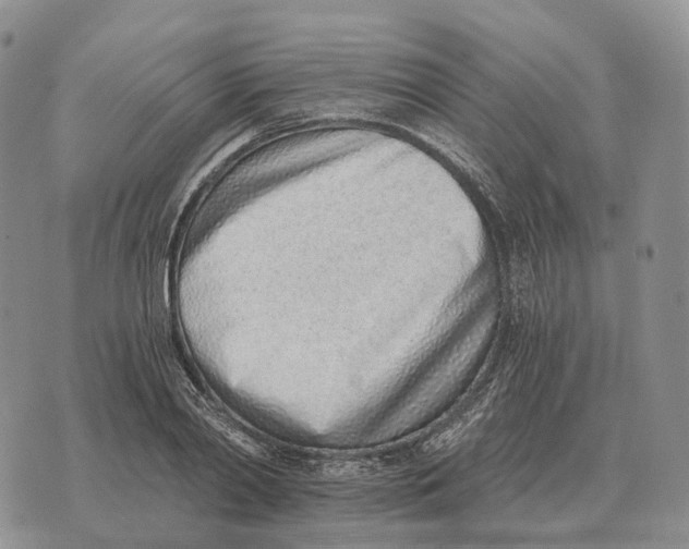 X0000072980790200608111740