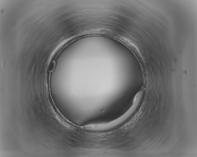 X0000072980792200608111740