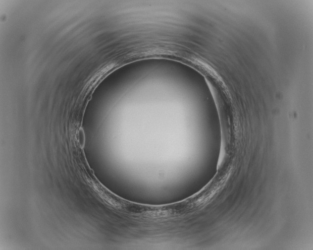 X0000072980793200608111740