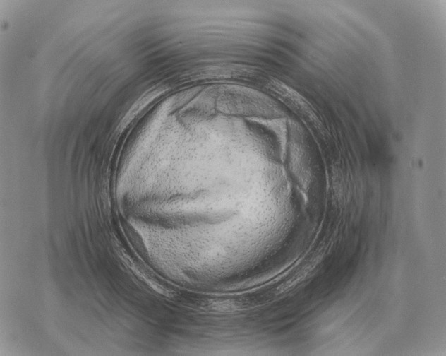 X0000072980794200608111740