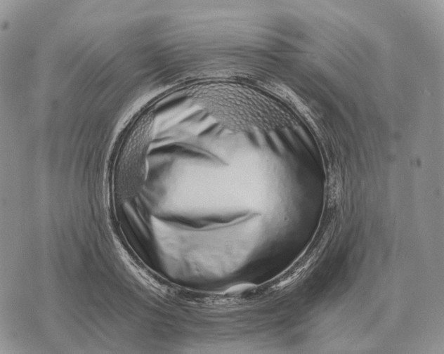 X0000072980795200608111740