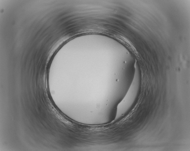 X0000072980796200608111740