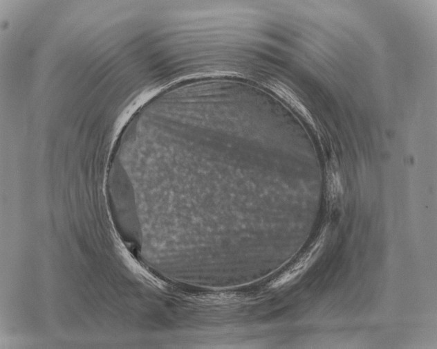 X0000072980797200608111740