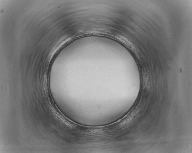 X0000072980798200608111740