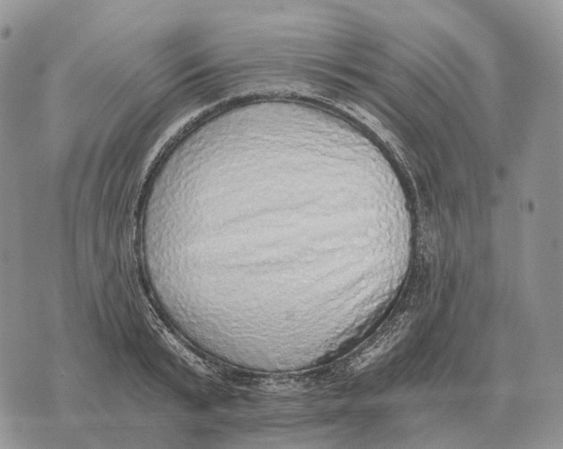 X0000072980799200608111740