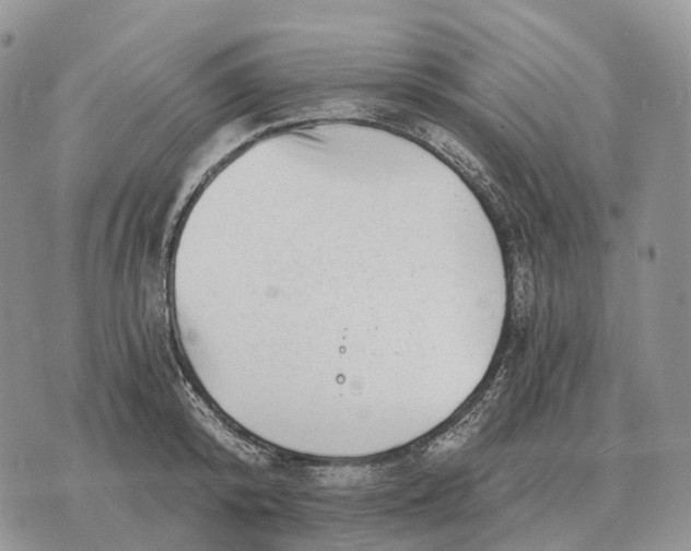 X0000072980800200608111740