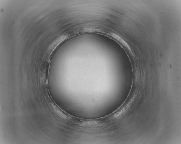 X0000072980801200608111740