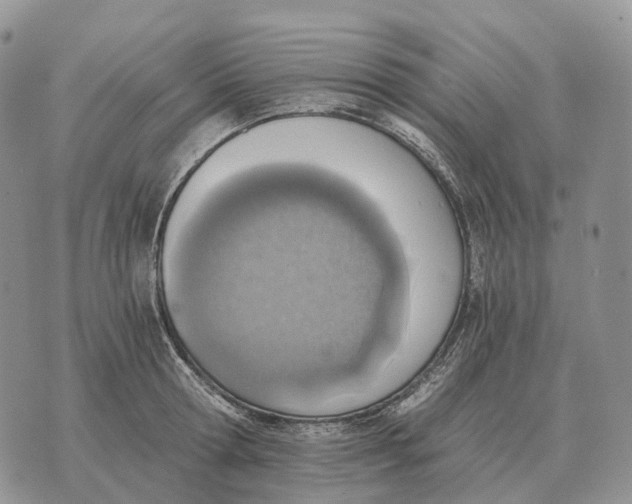 X0000072980802200608111740