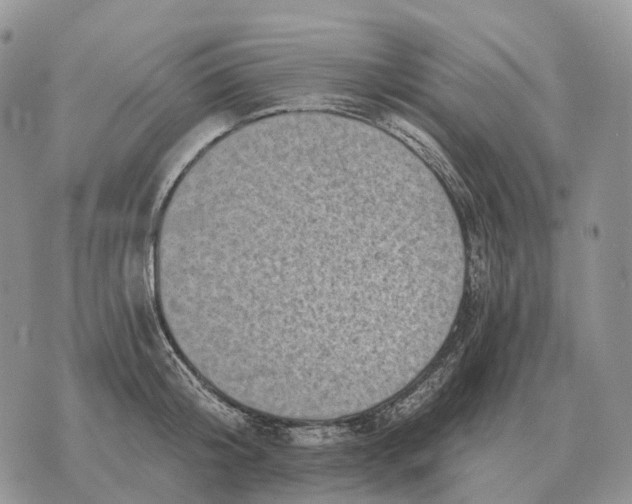 X0000072980804200608111740