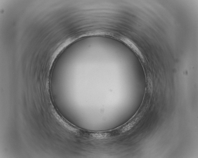 X0000072980805200608111740