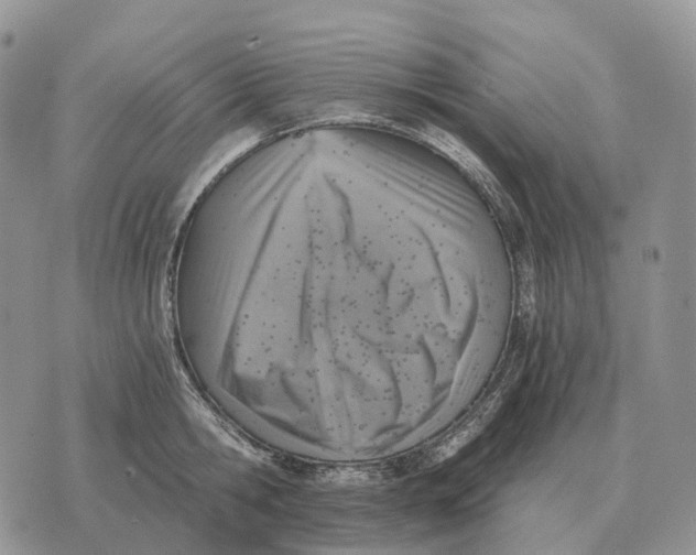 X0000072980806200608111740