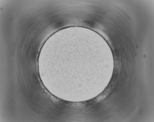 X0000072980807200608111740