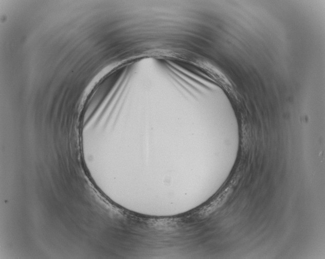 X0000072980808200608111740