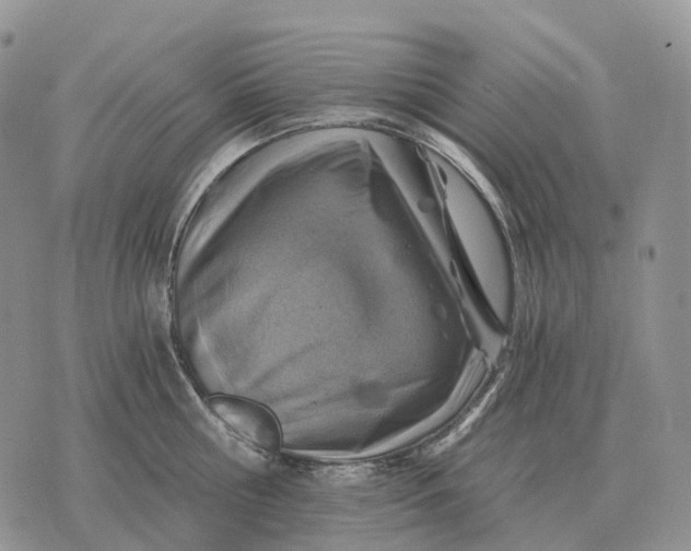 X0000072980810200608111740