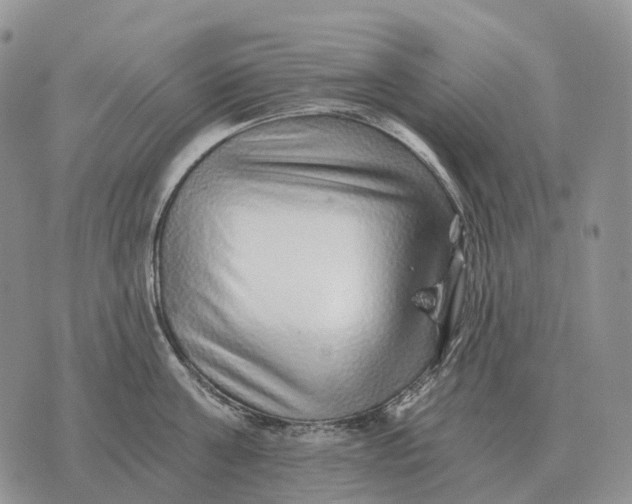 X0000072980811200608111740