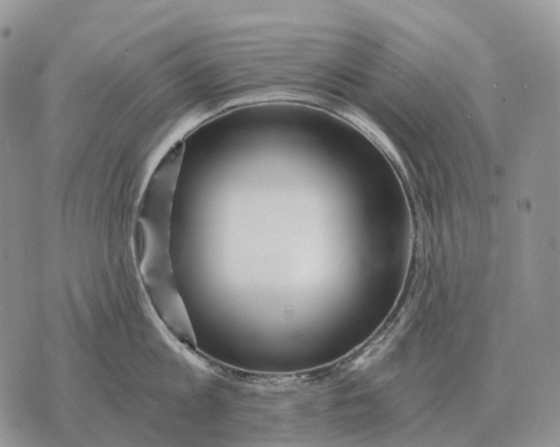 X0000072980813200608111740