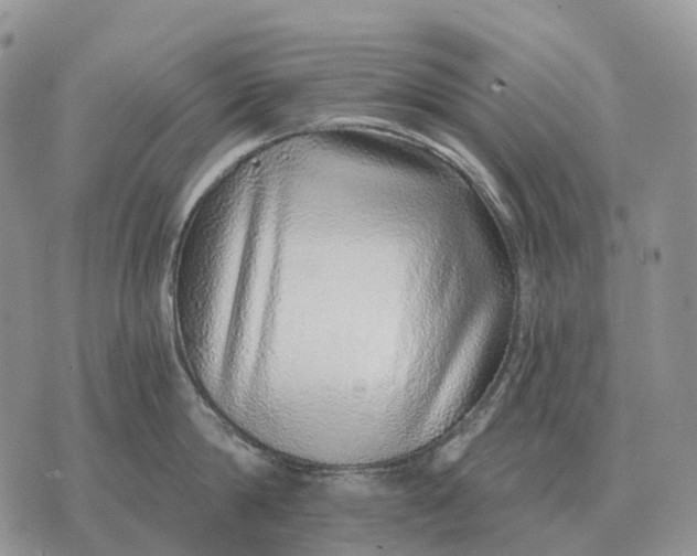 X0000072980814200608111740