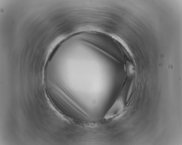 X0000072980815200608111740