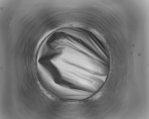 X0000072980816200608111740