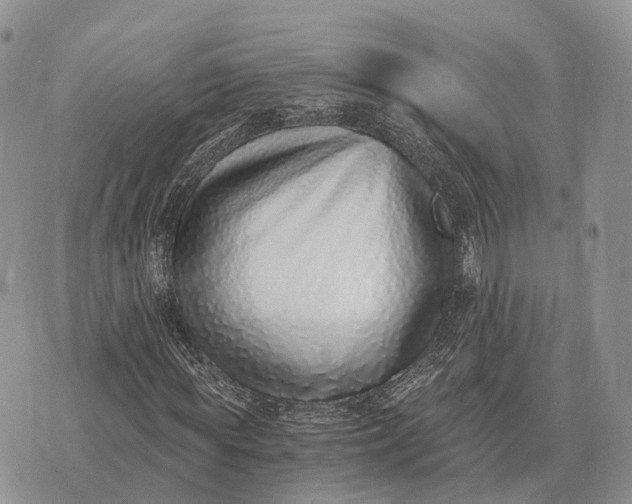 X0000072980819200608111739