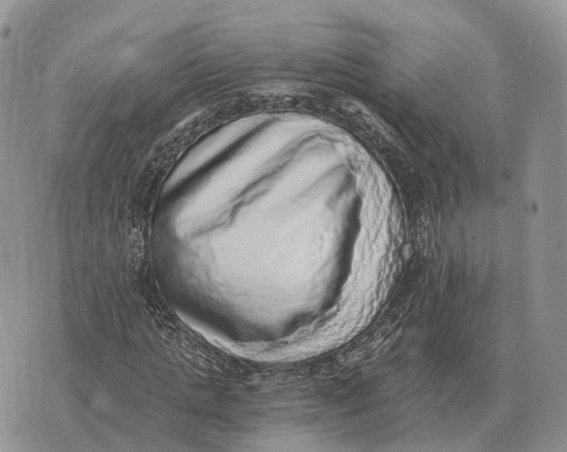 X0000072980821200608111739