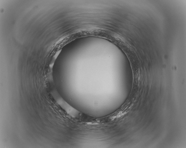 X0000072980822200608111739