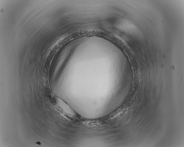 X0000072980823200608111739